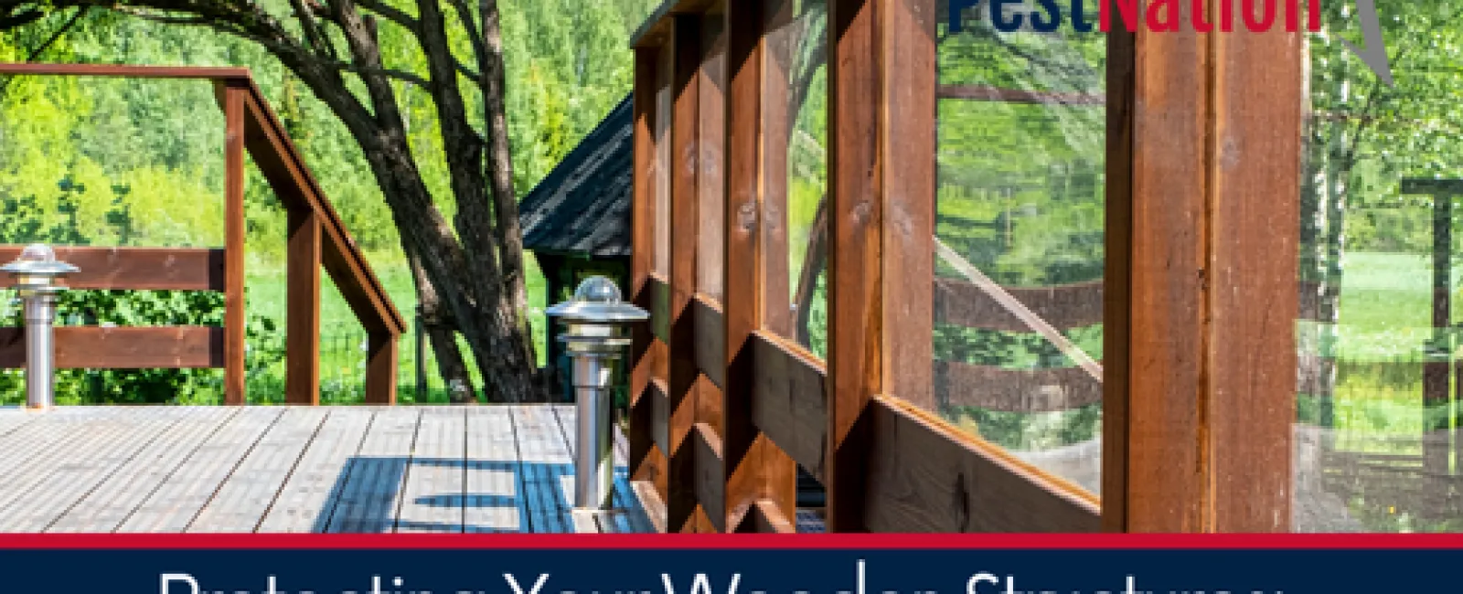 Protecting Your Wooden Structures: Tips for Preventing Termite Infestations