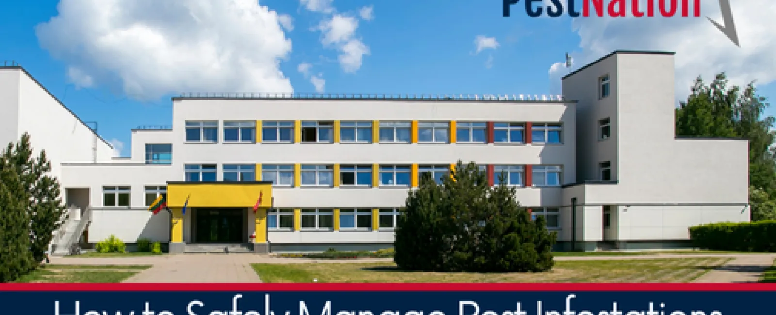 How to Safely Manage Pest Infestations in Schools and Educational Facilities