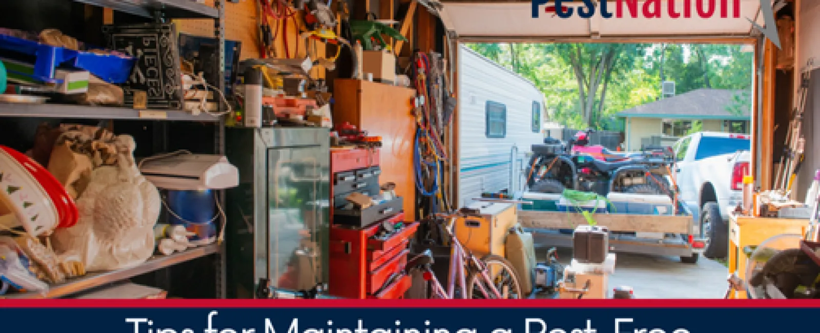Tips for Maintaining a Pest-Free Garage and Storage Area