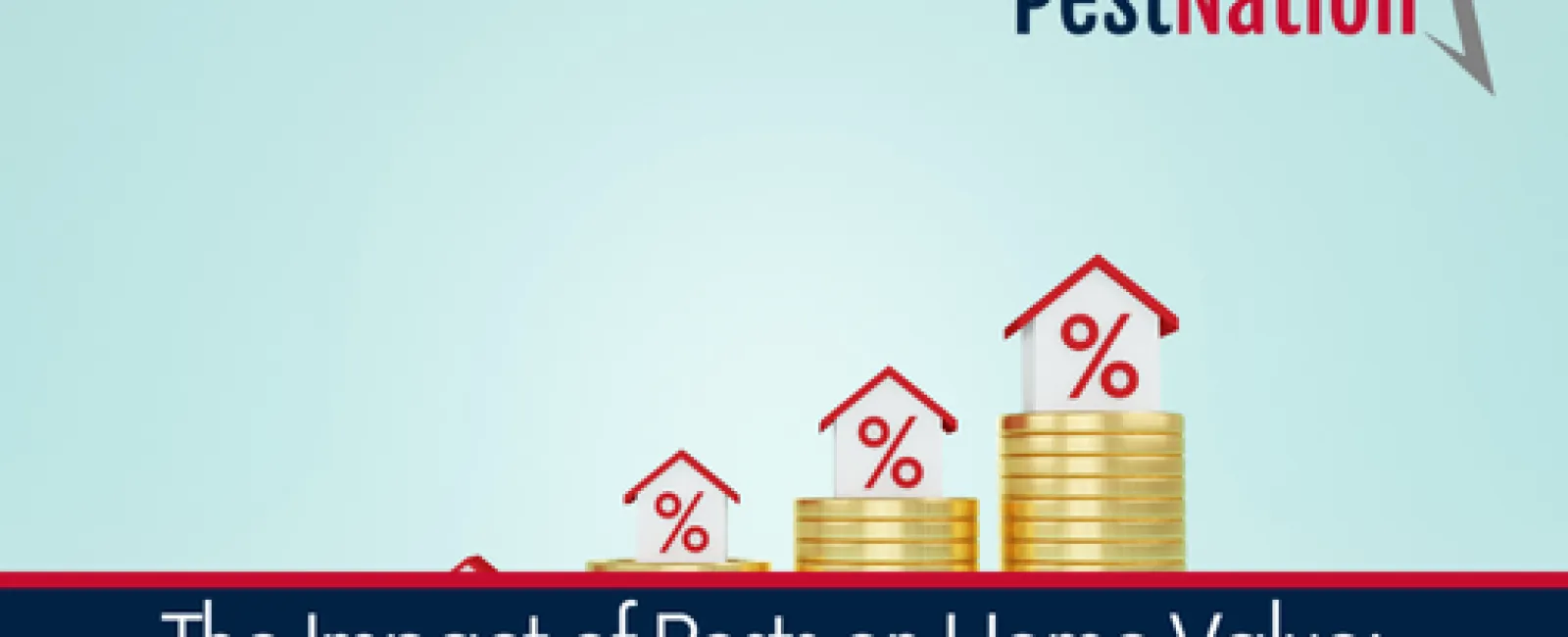 The Impact of Pests on Home Value: What You Need to Know