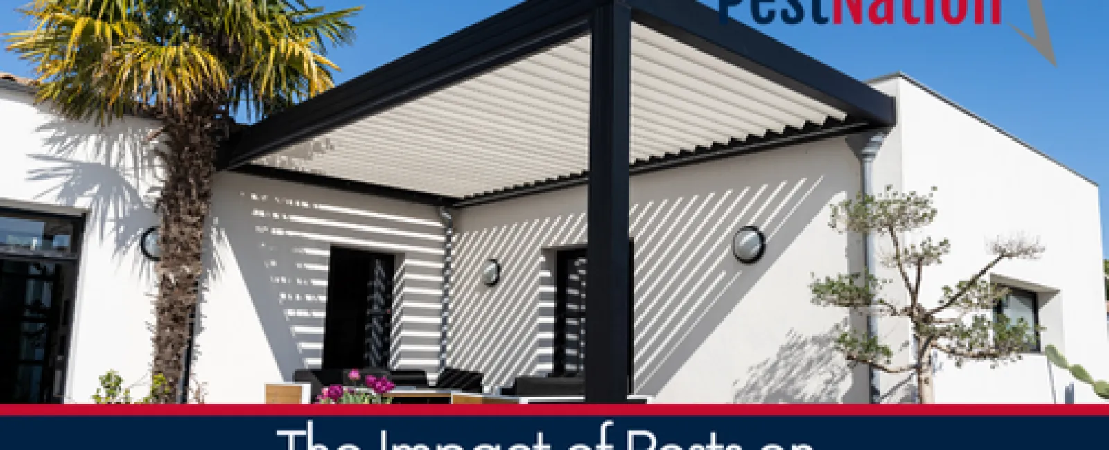 The Impact of Pests on Outdoor Furniture and Structures
