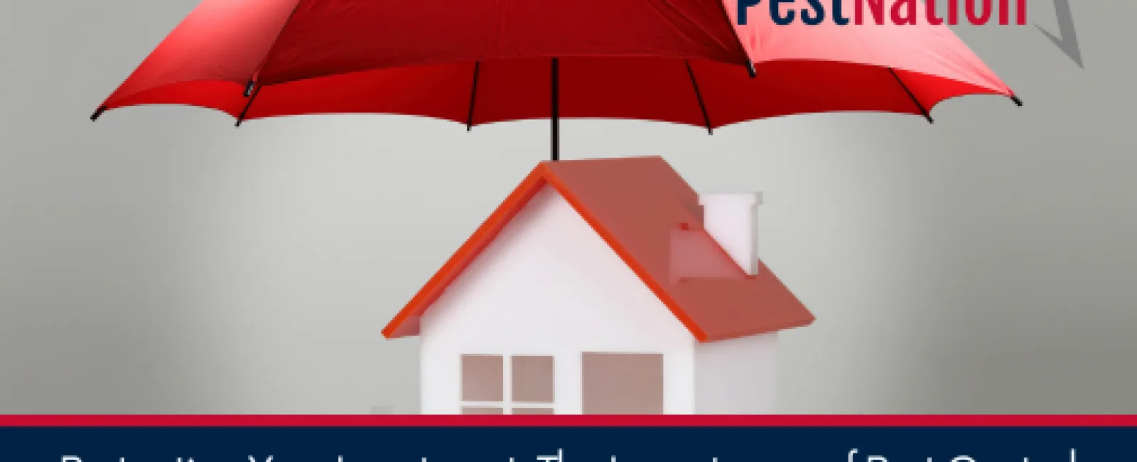 Protecting Your Investment: The Importance of Pest Control and Home Insurance in Charlotte, Charleston, and Atlanta