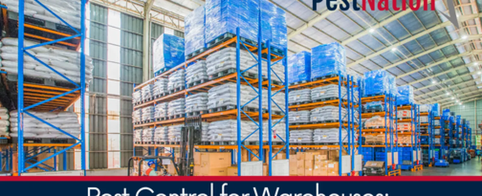Pest Control for Warehouses: Strategies for Inventory Protection