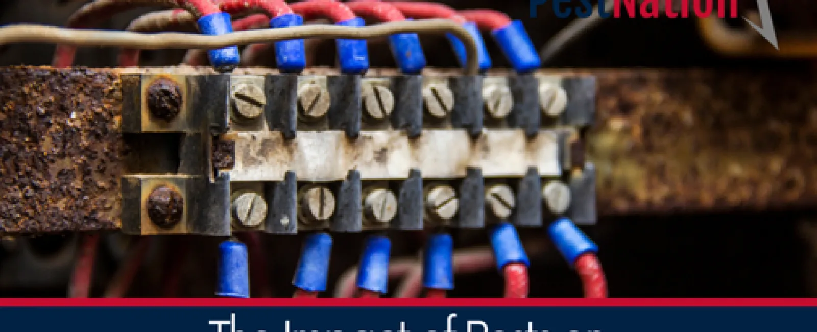 The Impact of Pests on Electronic Devices and Wiring
