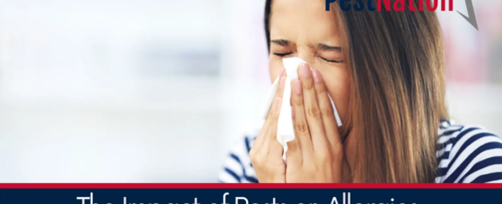 The Impact of Pests on Allergies and Respiratory Health