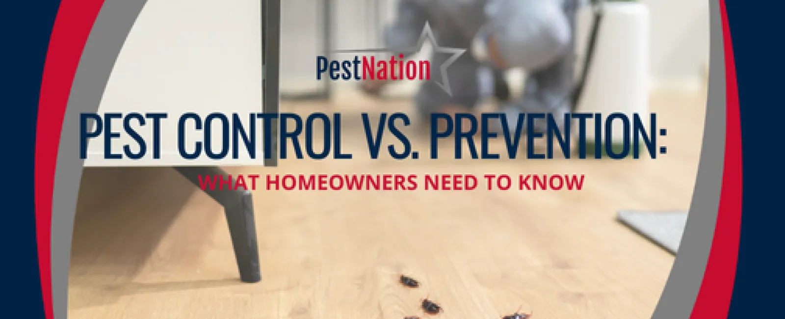 Pest Control vs. Prevention: What Homeowners Need to Know