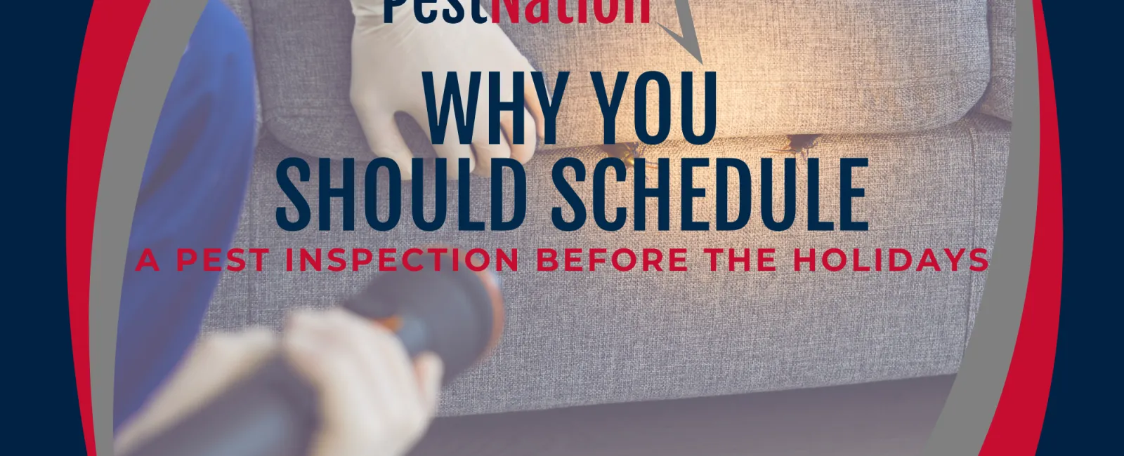 Why You Should Schedule a Pest Inspection Before the Holidays