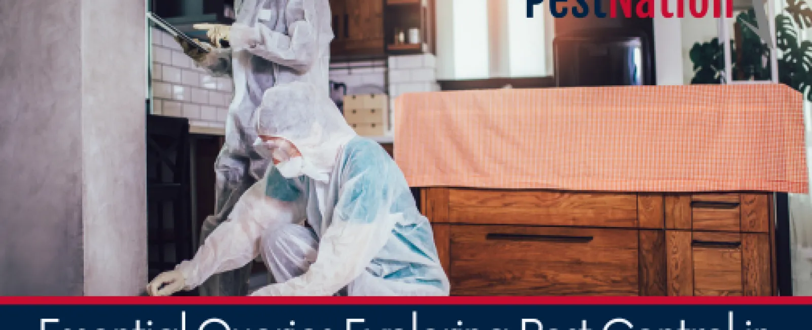Essential Queries Exploring Pest Control in Charlotte, Charleston, and Atlanta