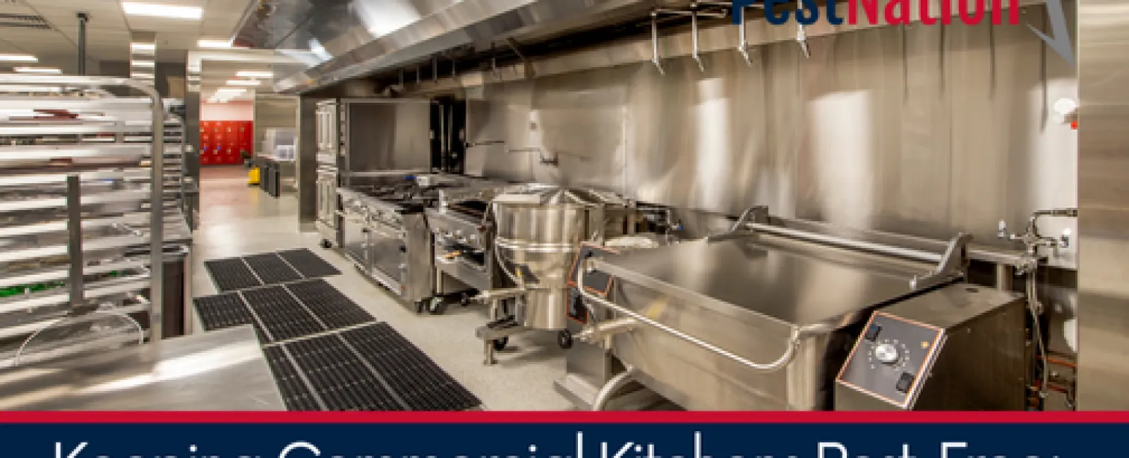 Keeping Commercial Kitchens Pest-Free: The Essential Strategies