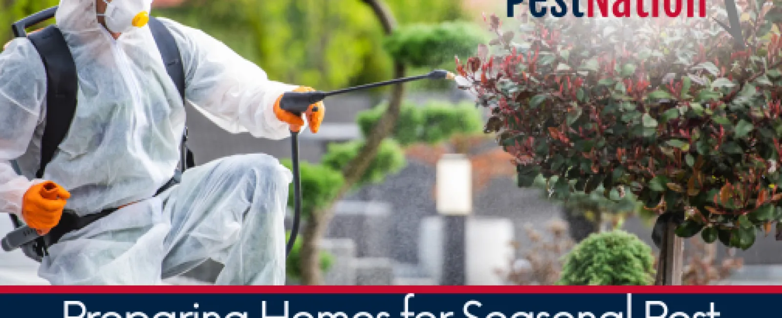 Preparing Homes for Seasonal Pest Changes with PestNation