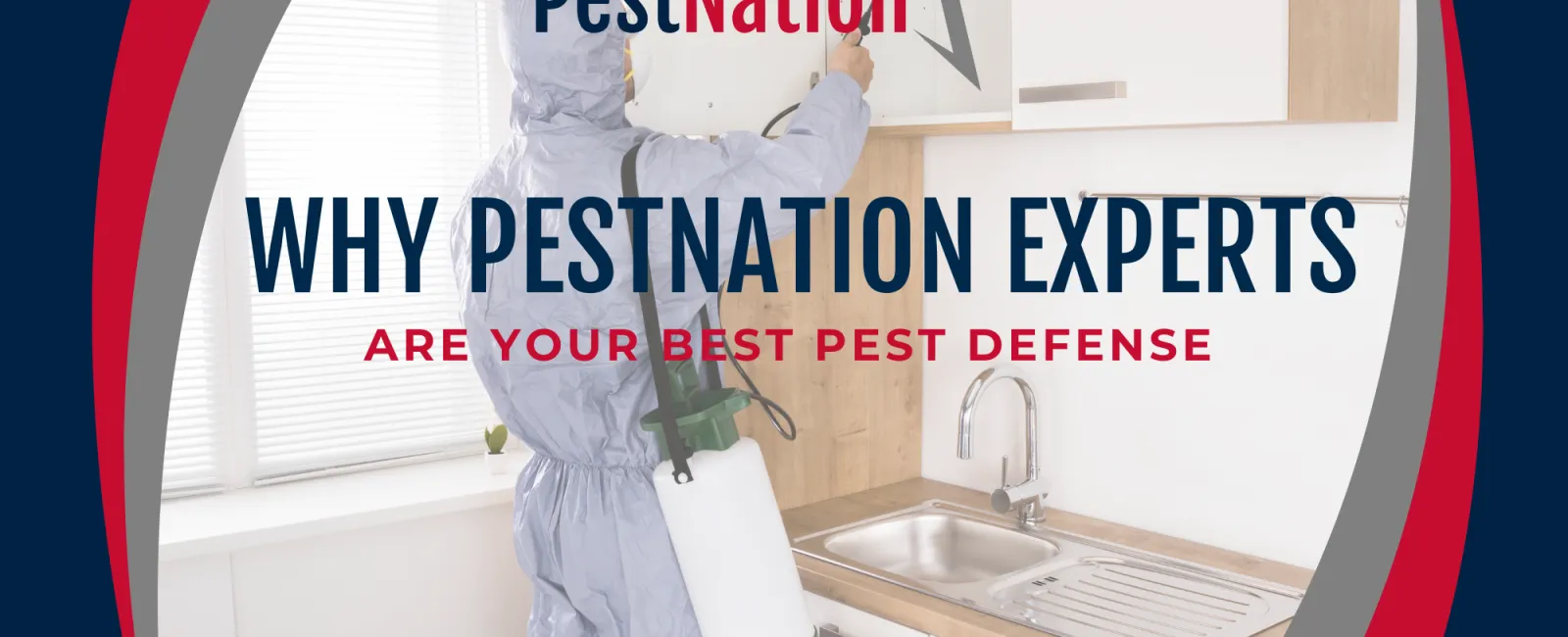 Why PestNation Experts Are Your Best Pest Defense