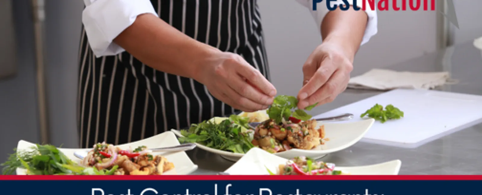 Pest Control for Restaurants: Best Practices for Food Service Businesses