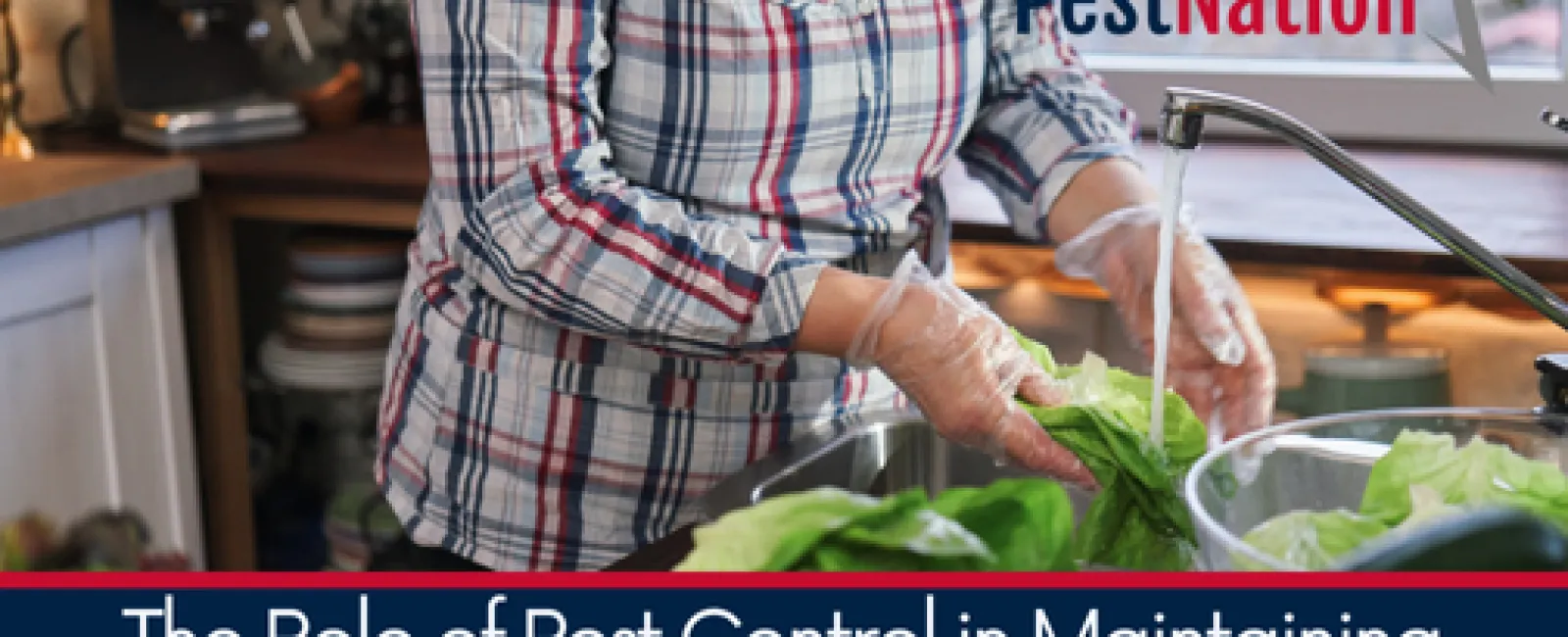 The Role of Pest Control in Maintaining Food Safety Standards