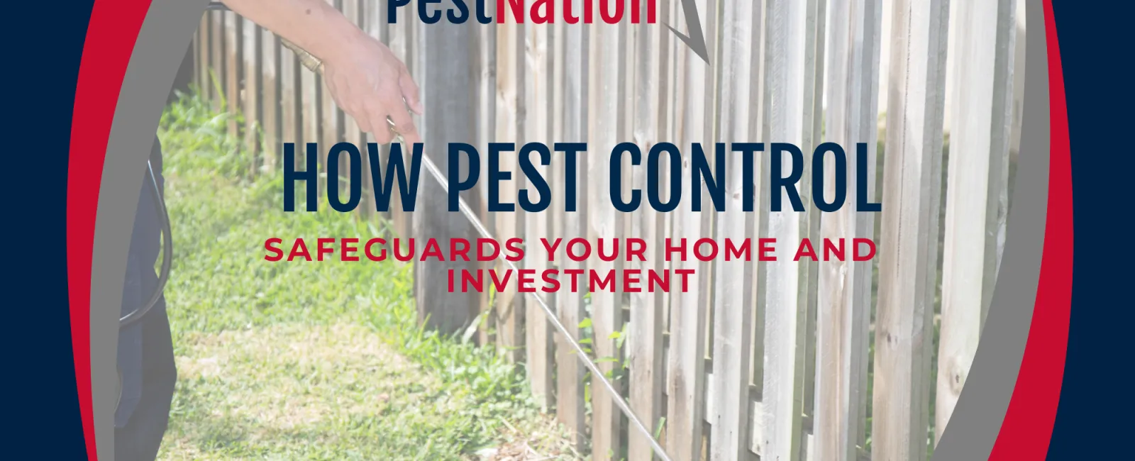 How Pest Control Safeguards Your Home and Investment