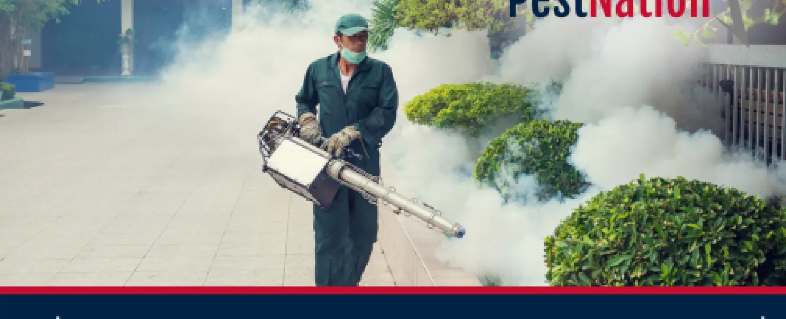Why Ongoing Mosquito Treatments Are Essential