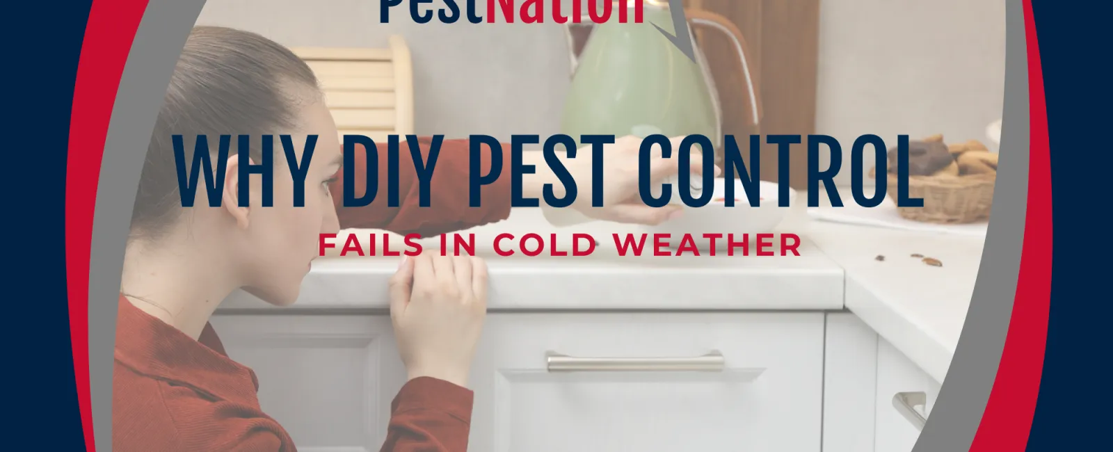Why DIY Pest Control Fails in Cold Weather