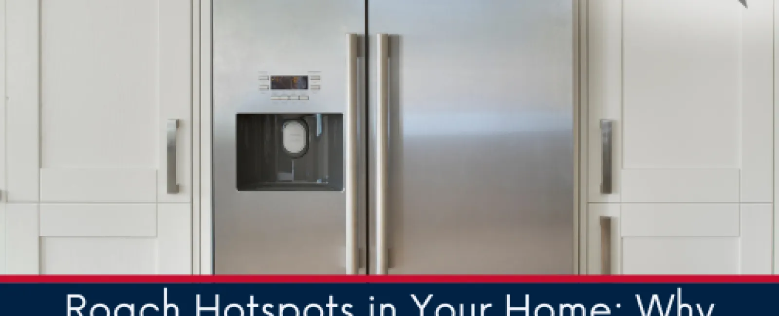Roach Hotspots in Your Home: Why Behind the Refrigerator Is a Prime Target