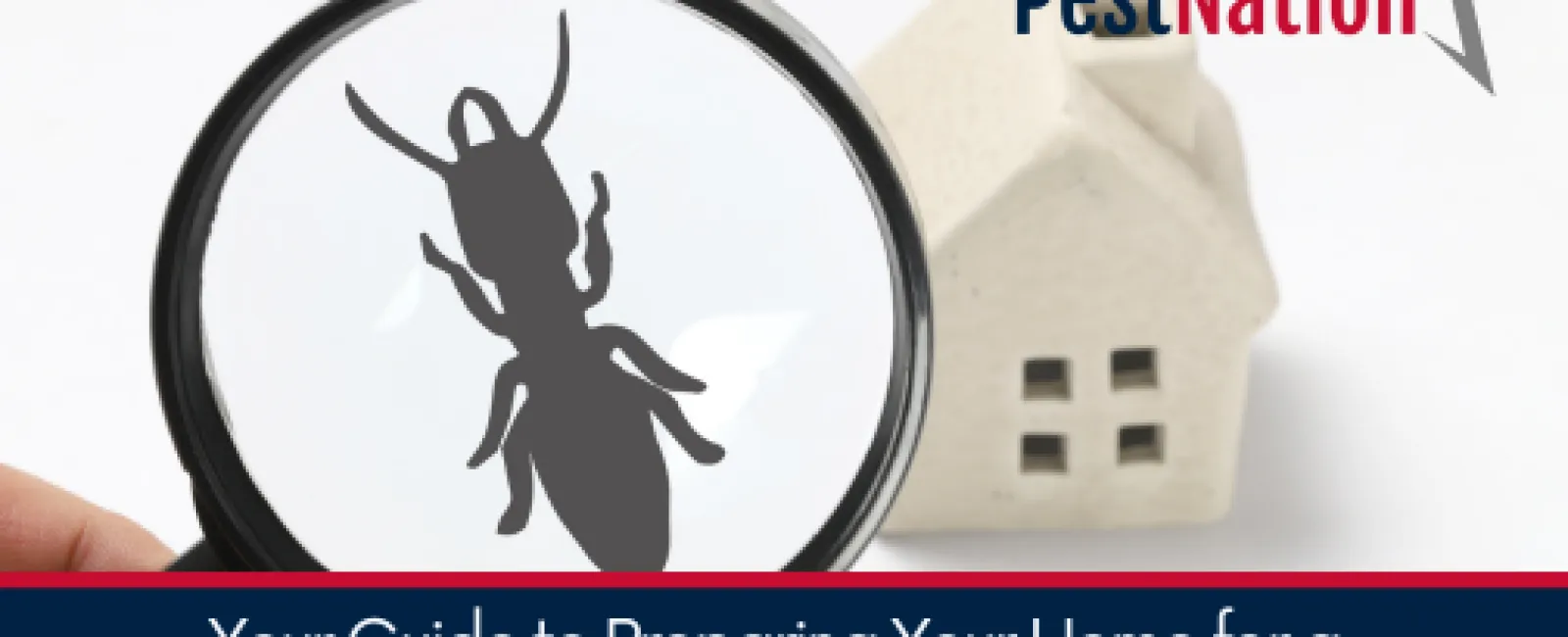 Your Guide to Preparing Your Home for a Pre-Purchase Inspection: Pest Control Edition