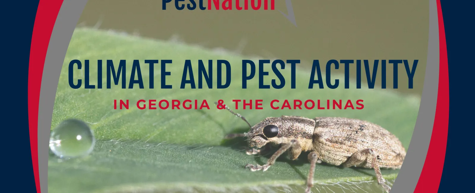 Climate and Pest Activity in Georgia & the Carolinas