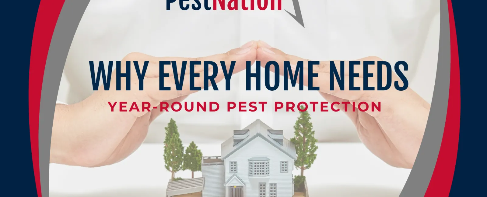 Why Every Home Needs Year-Round Pest Protection