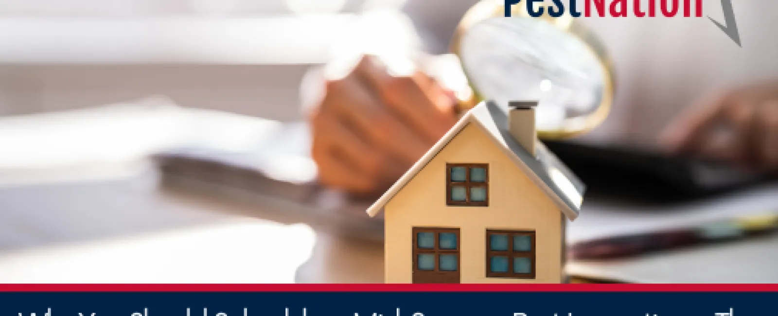 Why You Should Schedule a Mid-Summer Pest Inspection – The benefits of proactive pest control before problems escalate