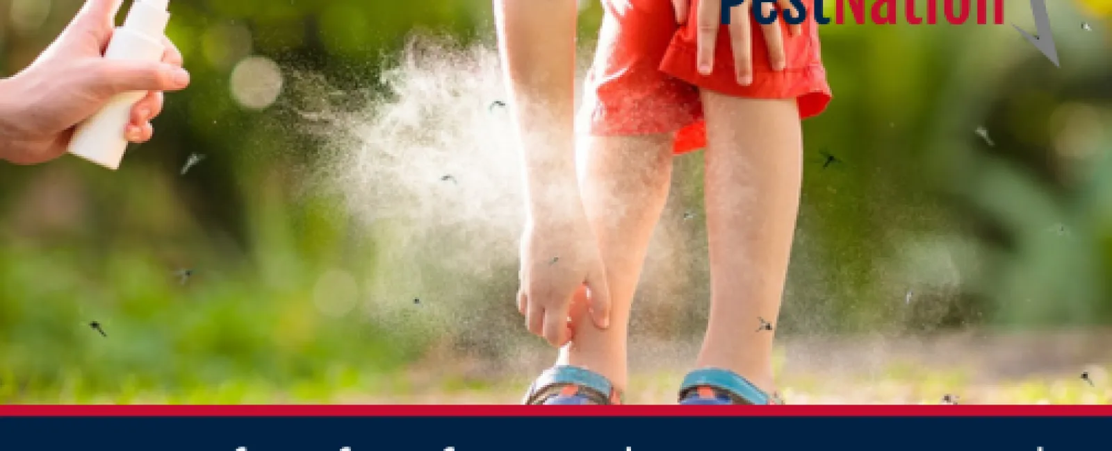 3 Benefits of Professional Mosquito Control