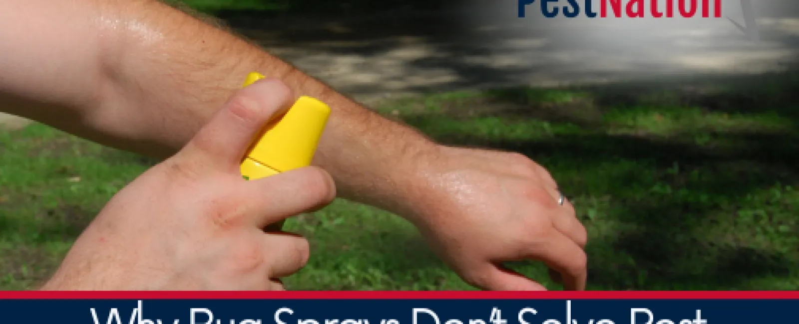 Why Bug Sprays Don’t Solve Pest Problems Long-Term