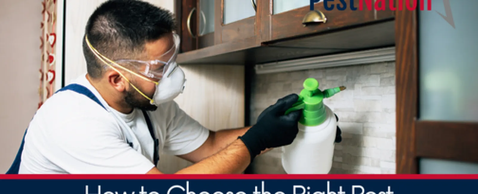 How to Choose the Right Pest Control Products for DIY Efforts