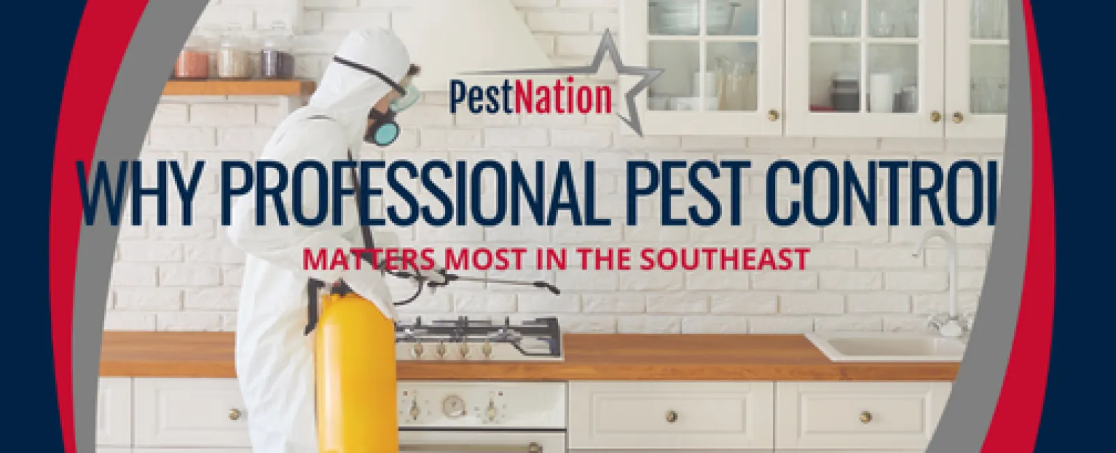 Why Professional Pest Control Matters Most in the Southeast