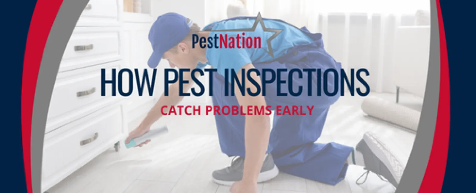 How Pest Inspections Catch Problems Early