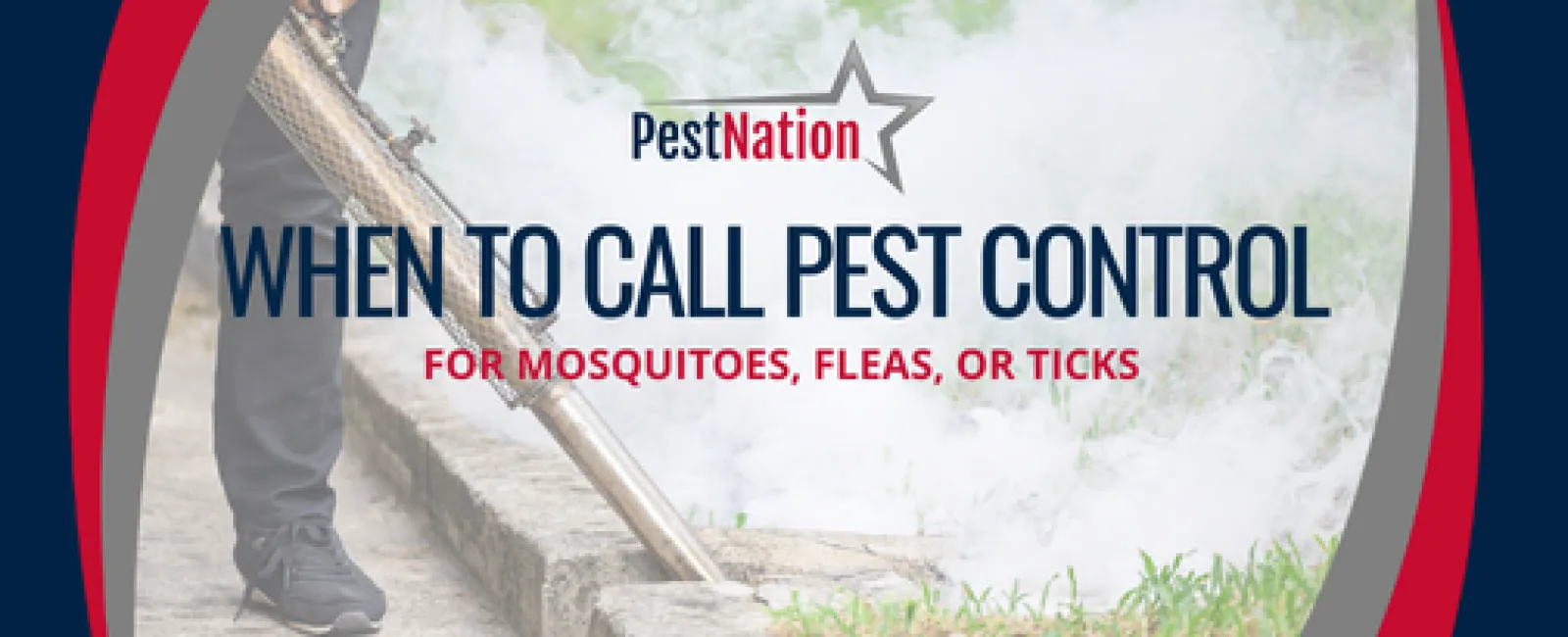 When to Call Pest Control for Mosquitoes, Fleas, or Ticks