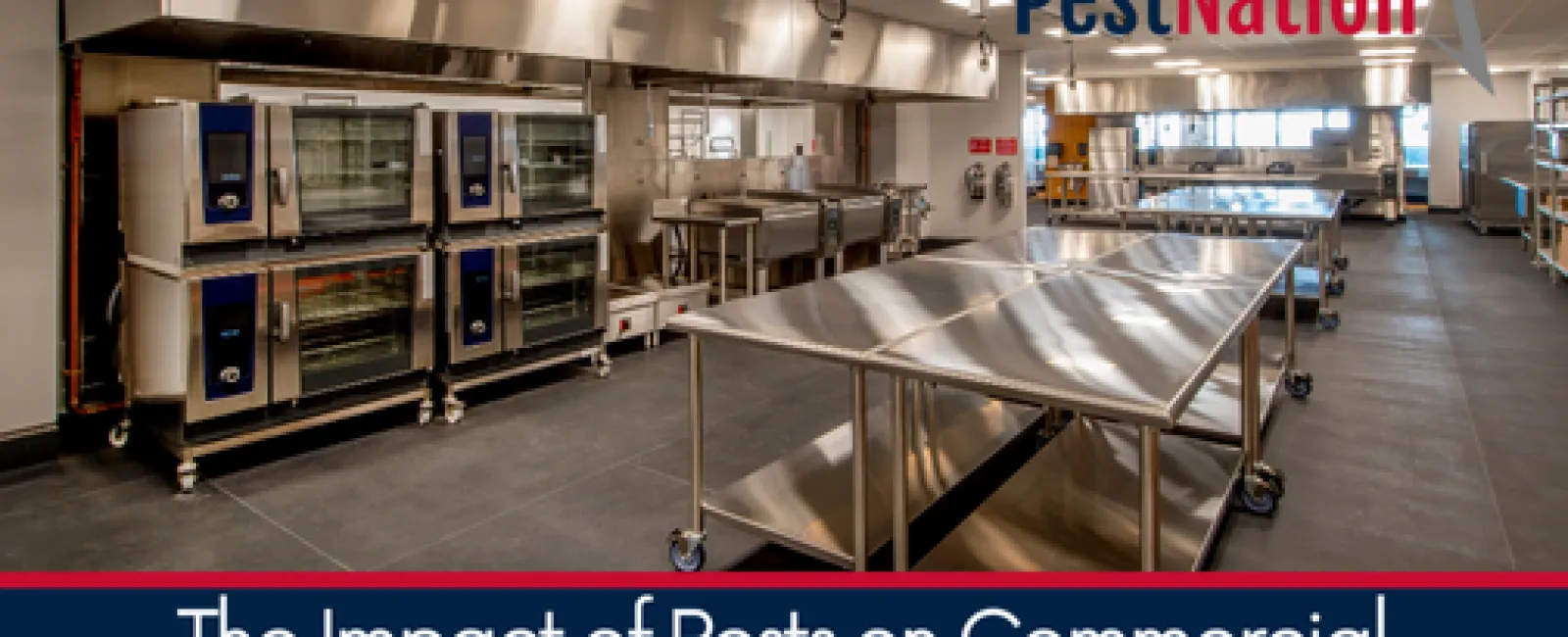 Modern commercial kitchen showcasing equipment affected by pest issues and cleanliness.
