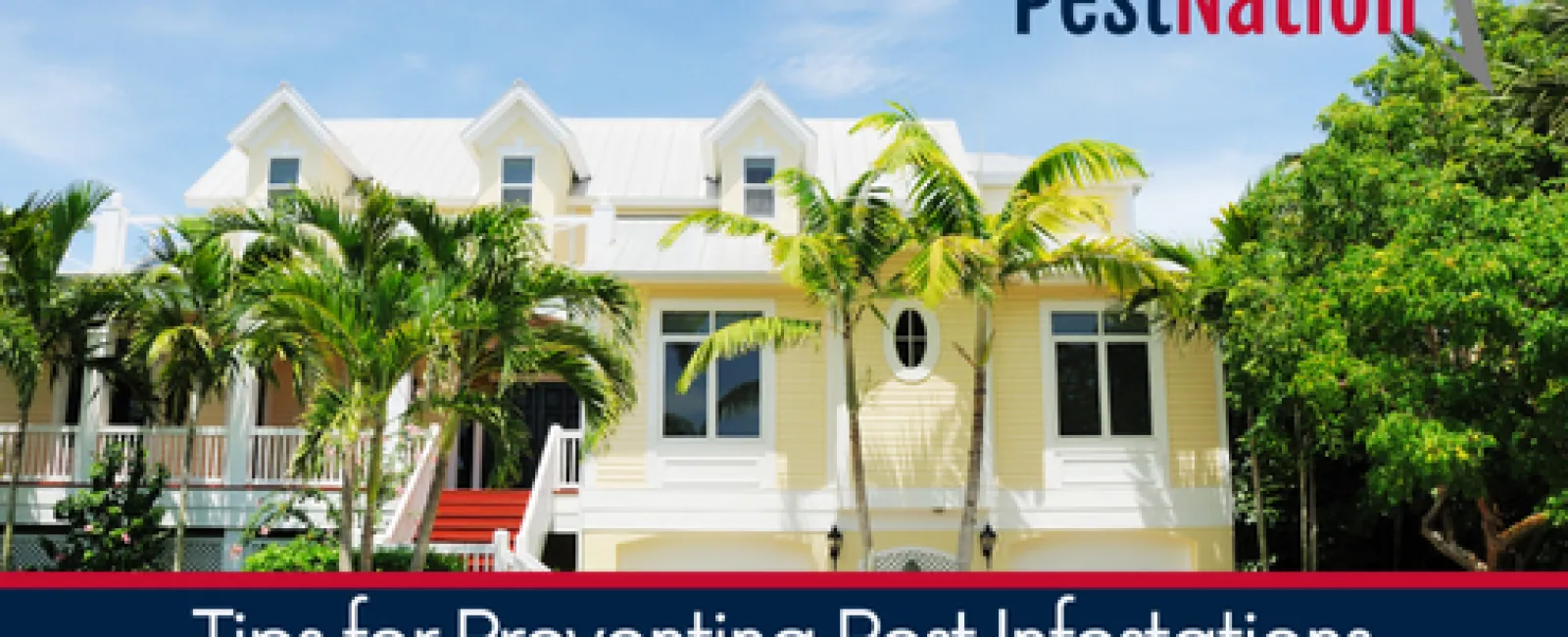 Tips for Preventing Pest Infestations in Vacation Homes