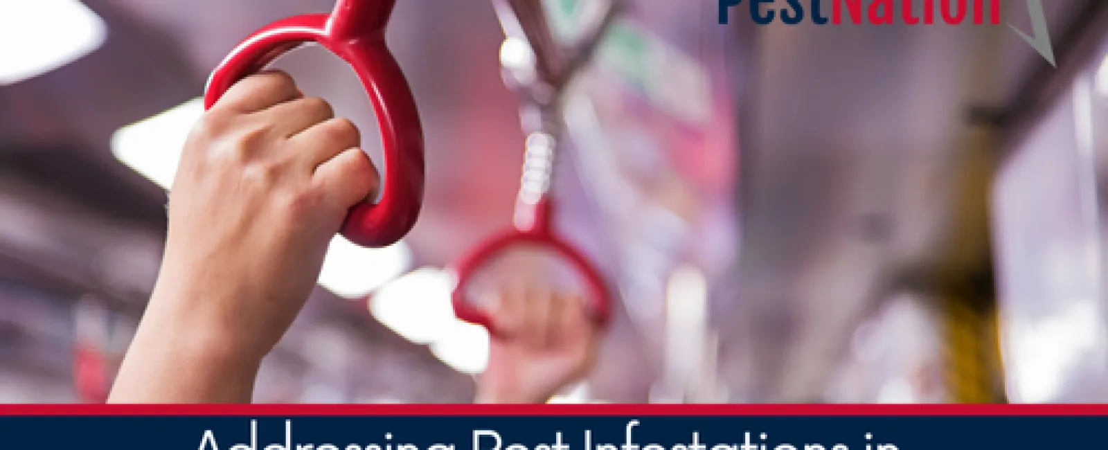 Addressing Pest Infestations in Public Transportation Settings