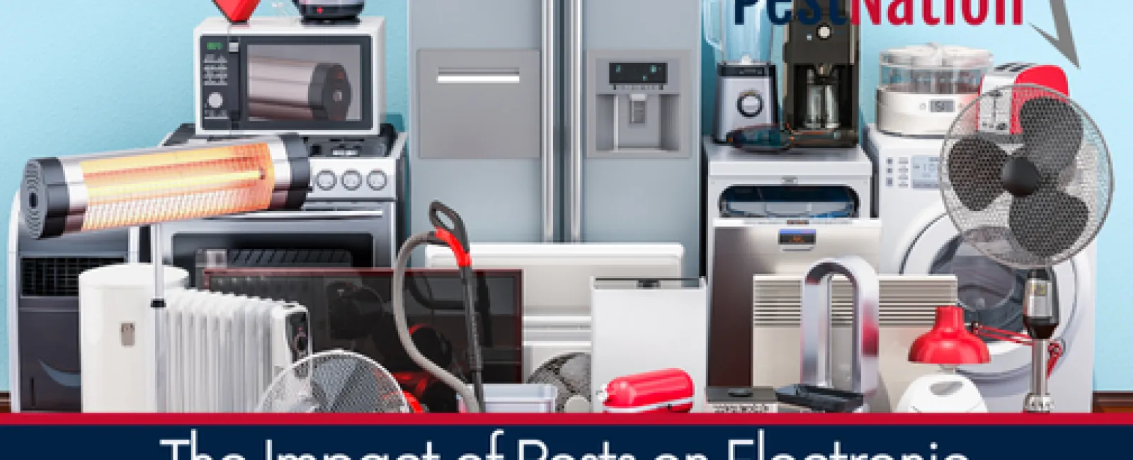 The Impact of Pests on Electronic Appliances and Devices