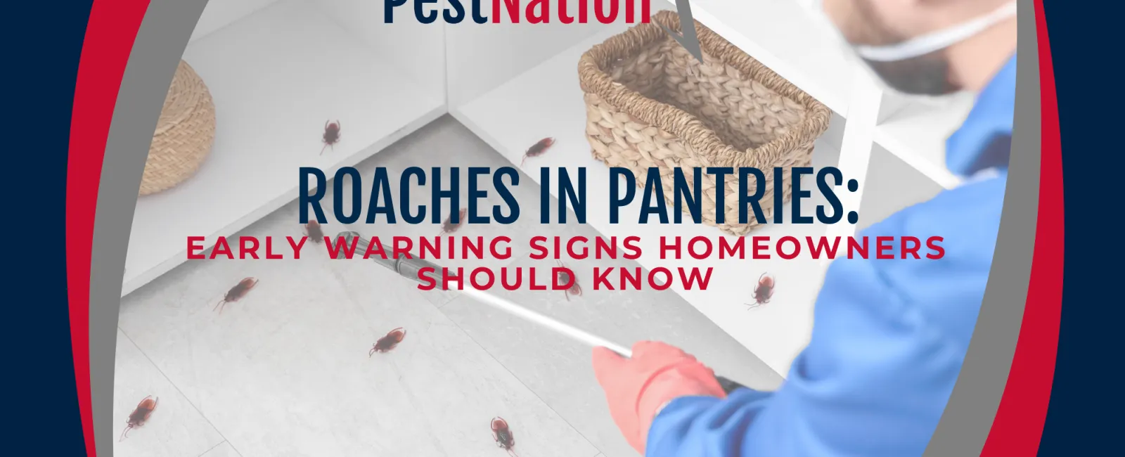 Roaches in Pantries: Early Warning Signs Homeowners Should Know
