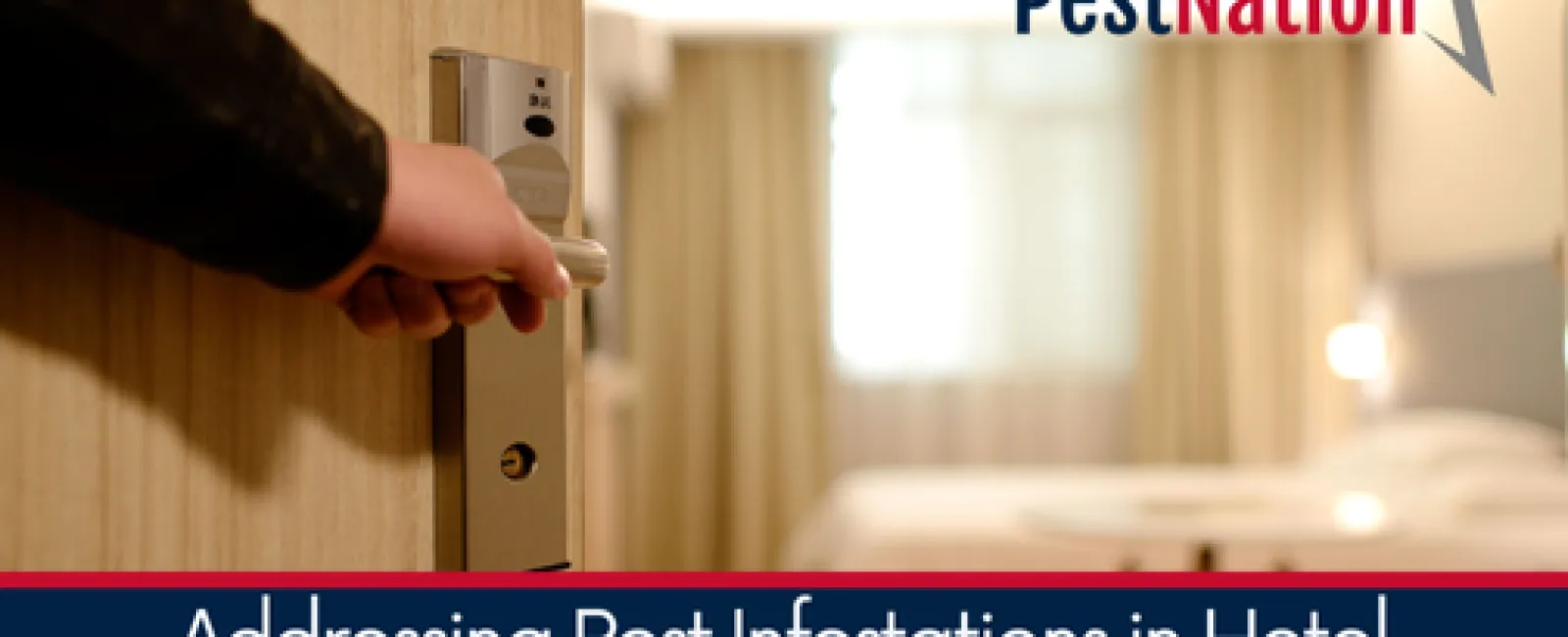Addressing Pest Infestations in Hotel and Hospitality Settings