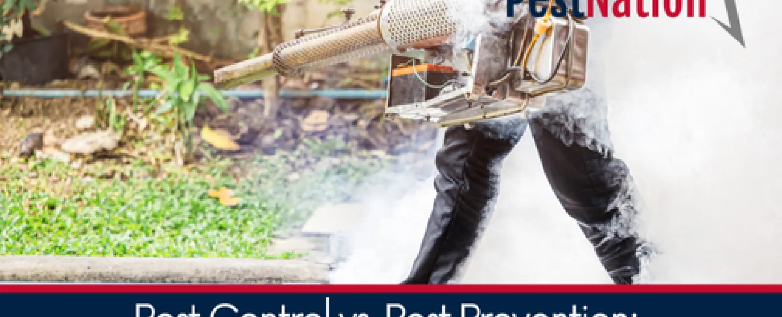 Pest Control vs. Pest Prevention: Why PestNation Focuses on Both