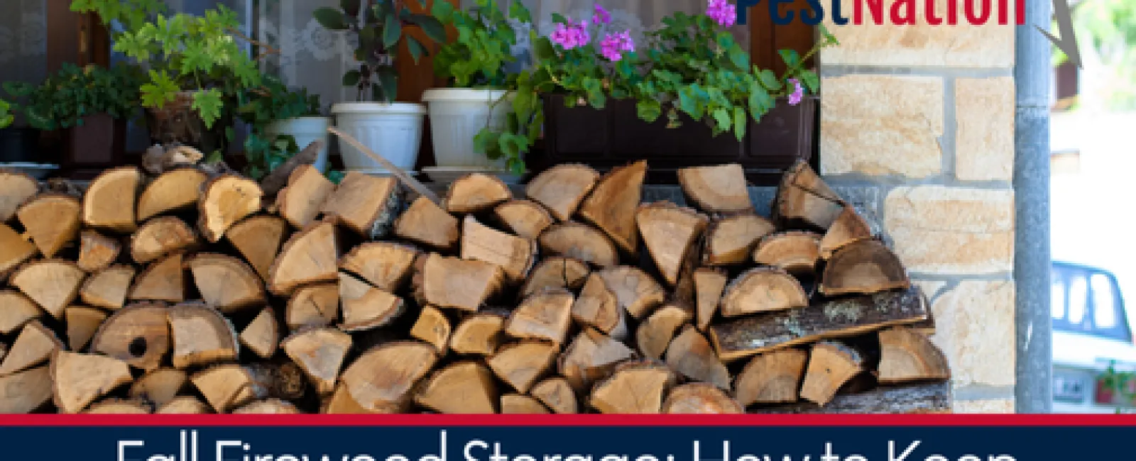 Fall Firewood Storage: How to Keep Pests Out and Your Home Safe