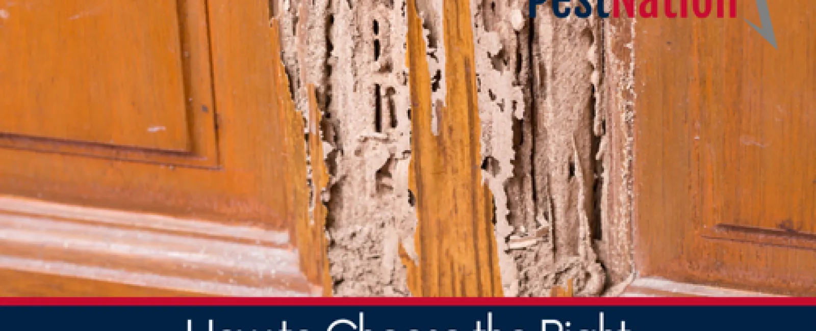 How to Choose the Right Termite Protection Plan
