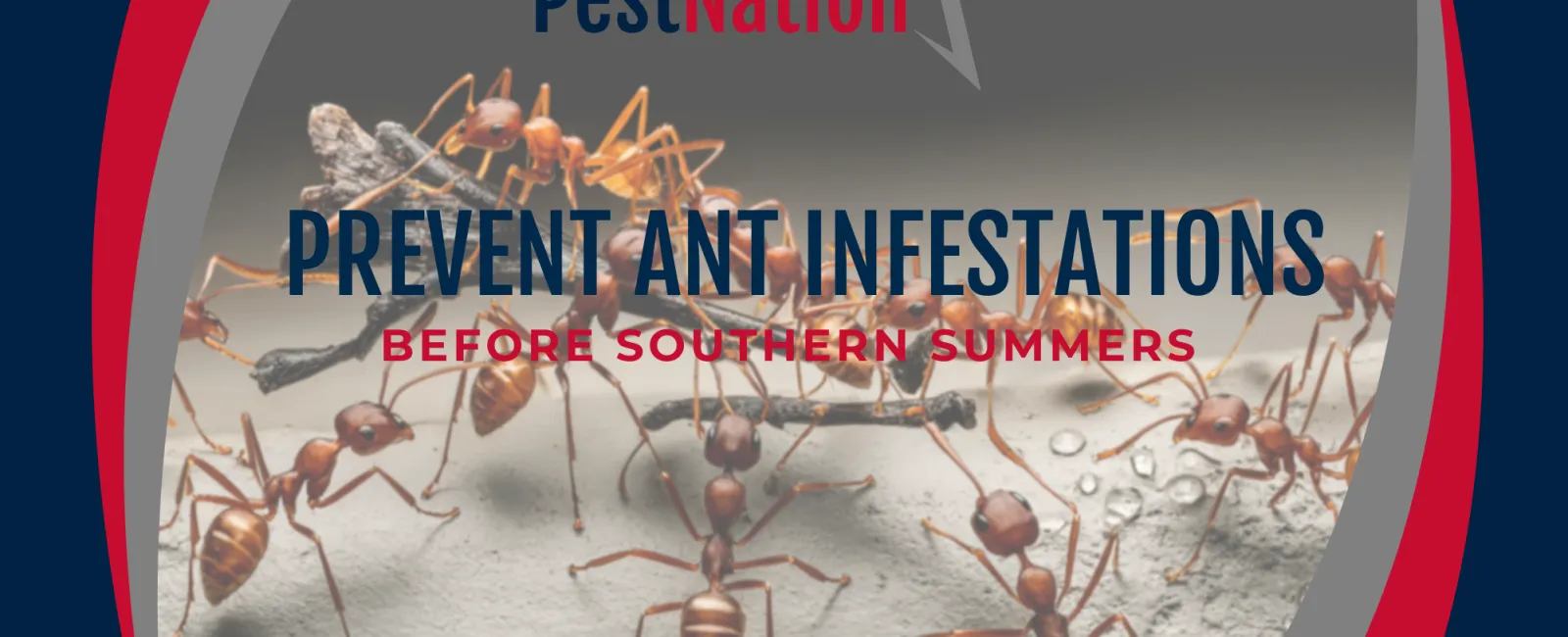 Before Southern Summers