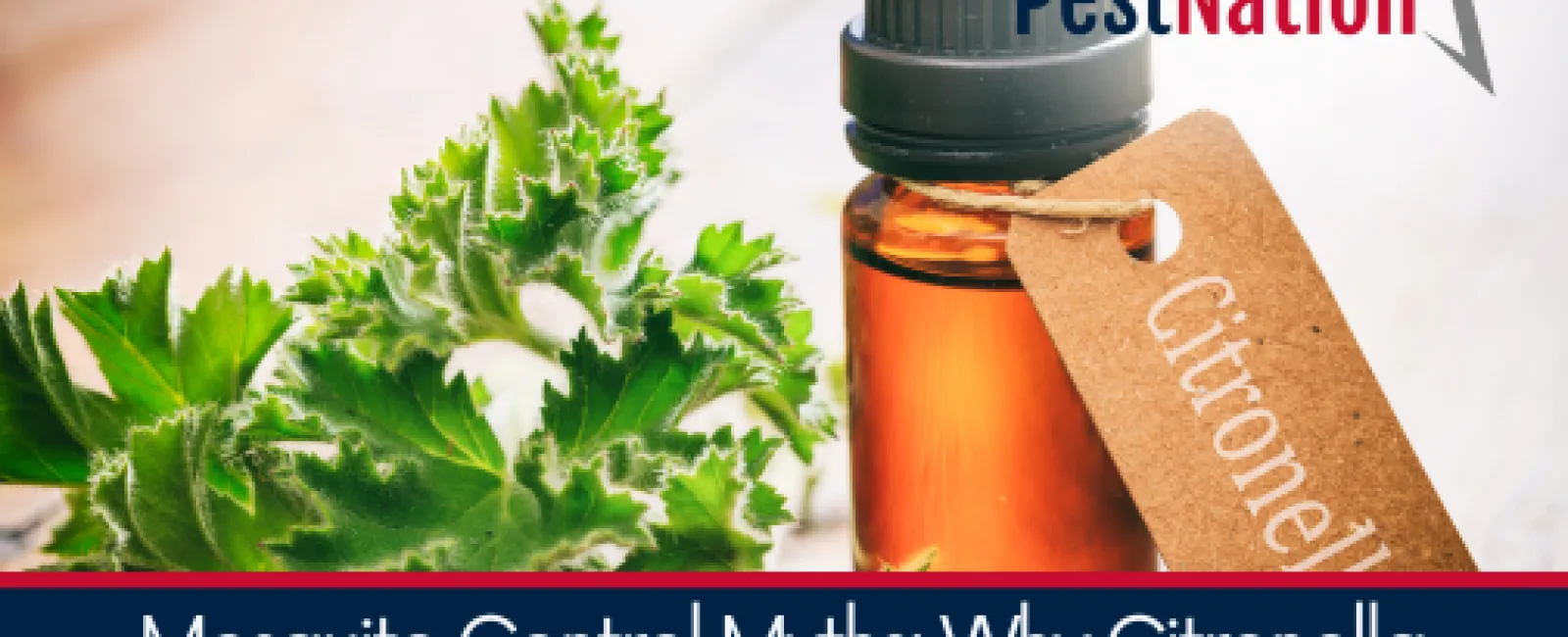 Mosquito Control Myths: Why Citronella Candles & DIY Sprays Don’t Work