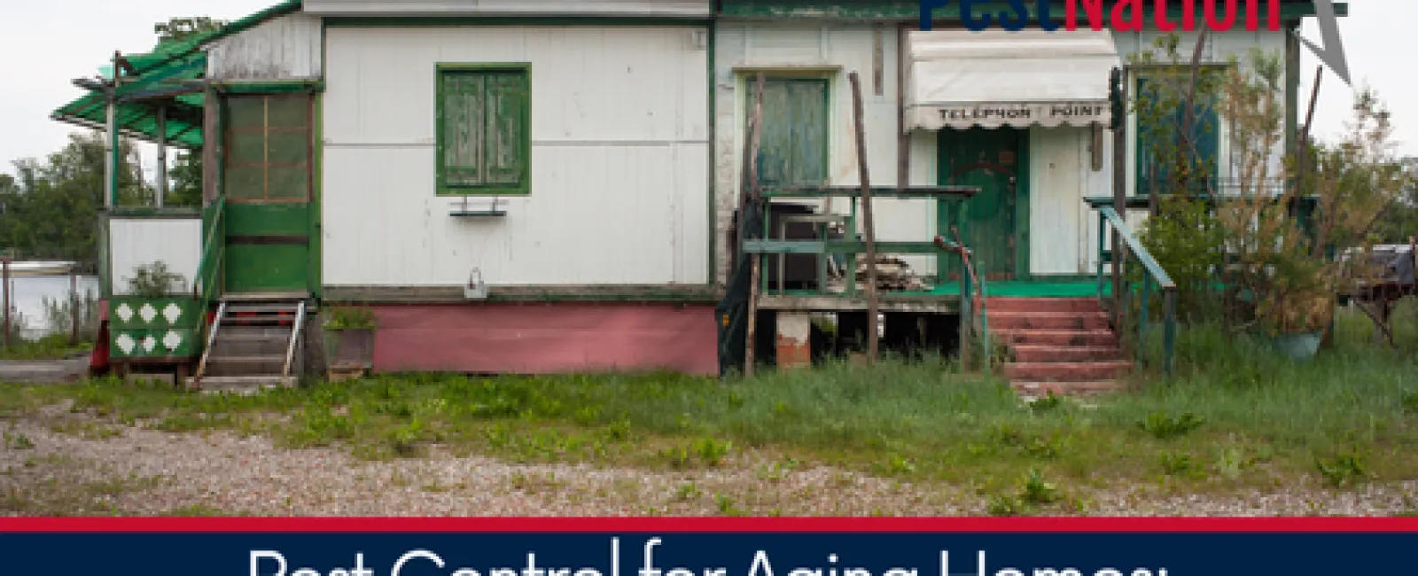 Pest Control for Aging Homes: Special Considerations