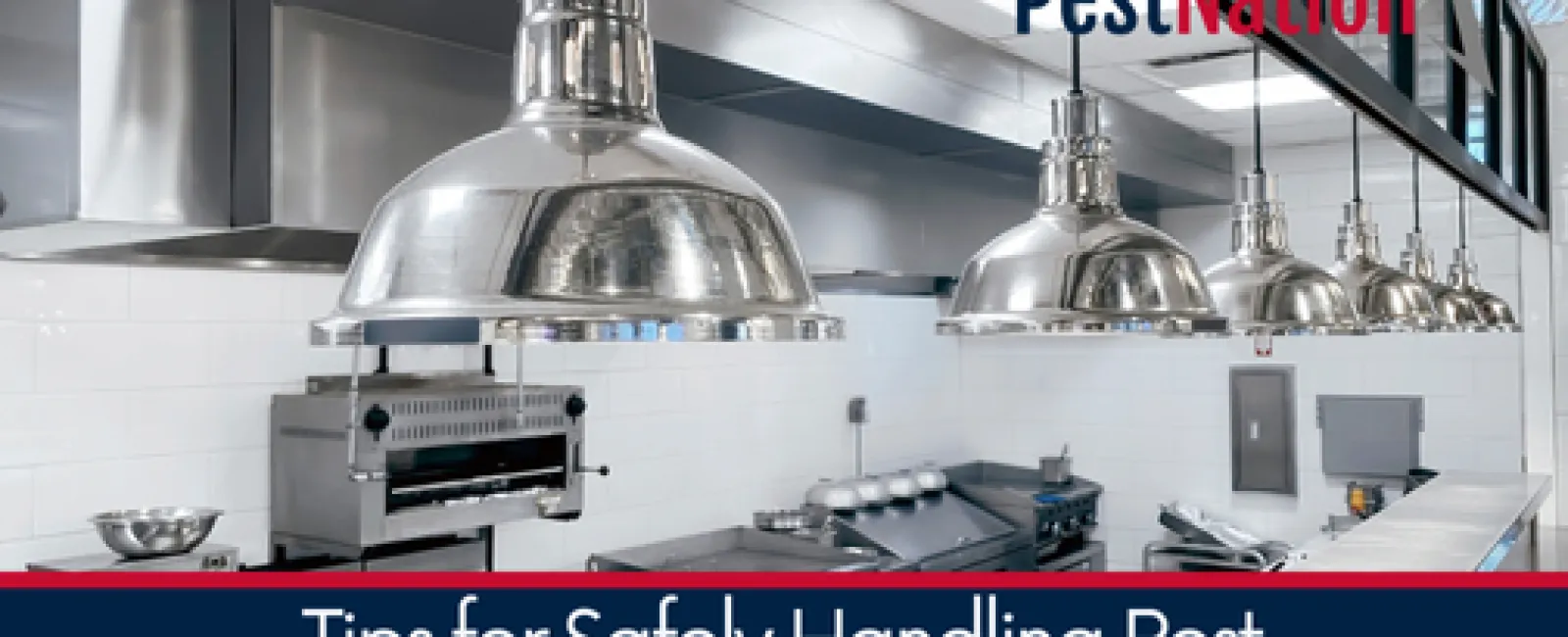 Tips for Safely Handling Pest Infestations in Restaurants