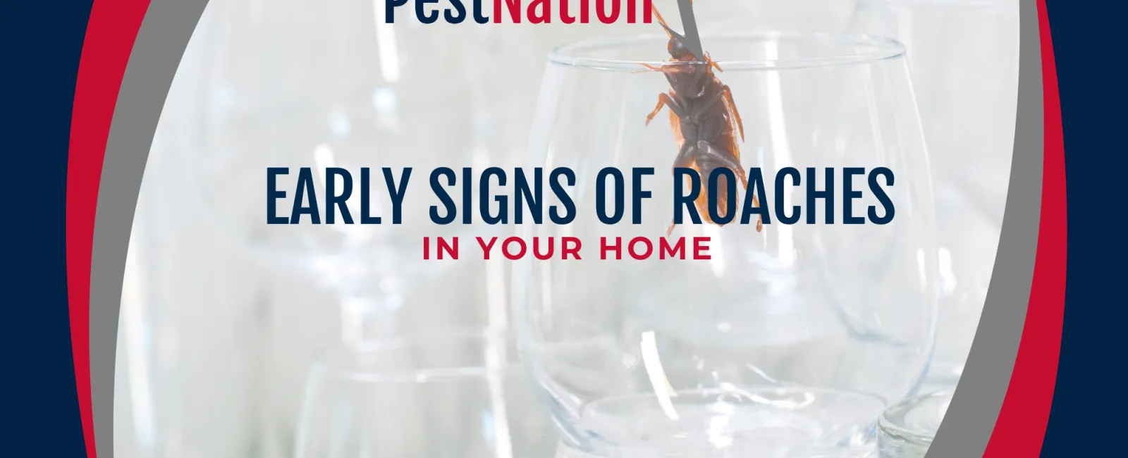 Early Signs of Roaches in Your Home