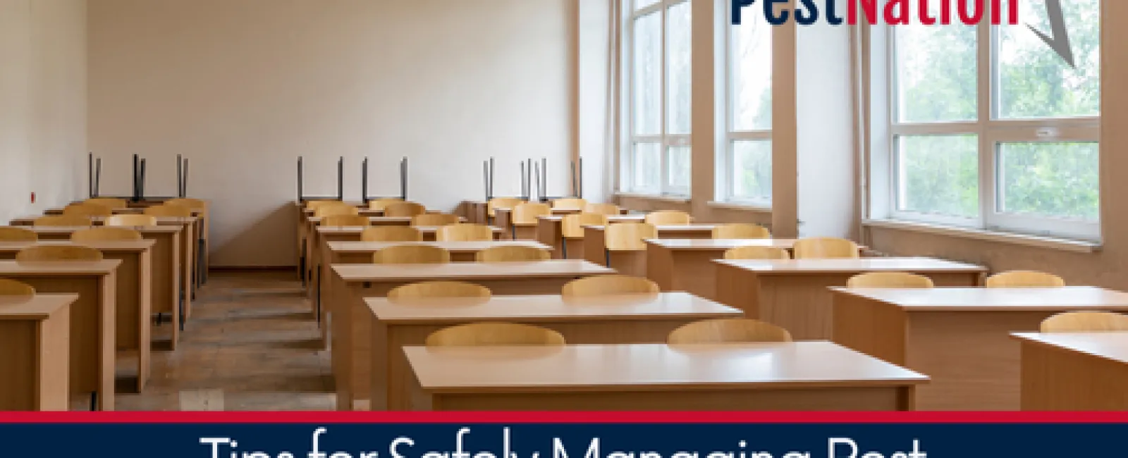 Tips for Safely Managing Pest Infestations in Educational Institutions