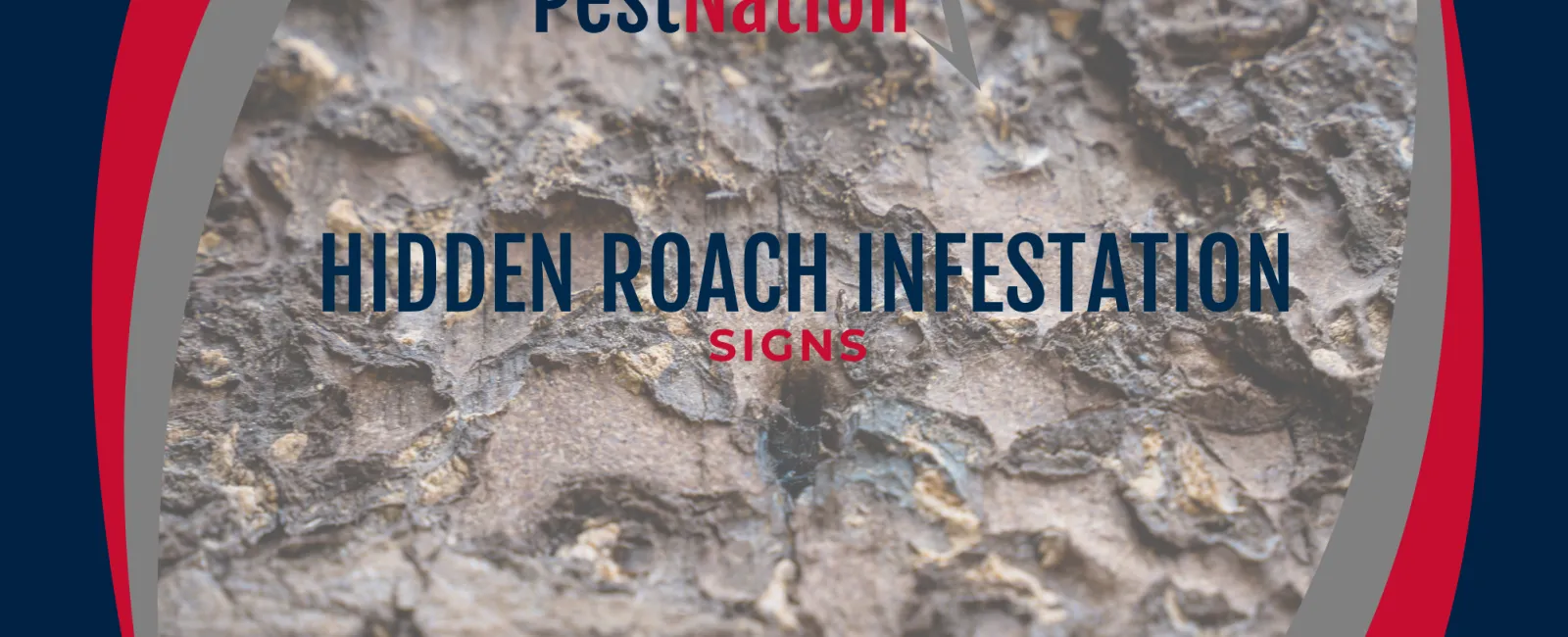 Hidden Roach Infestation Signs