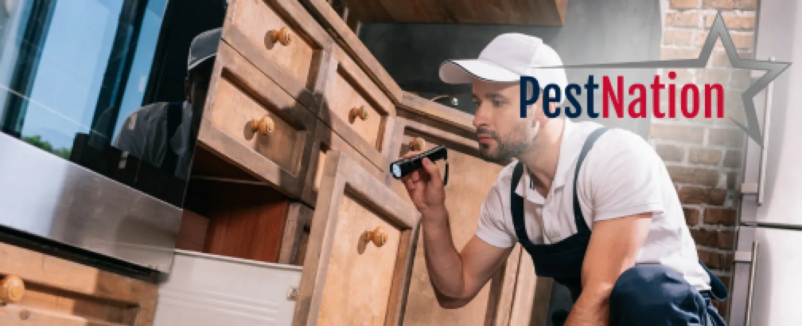 Why You Should Schedule a Fall Pest Inspection Now