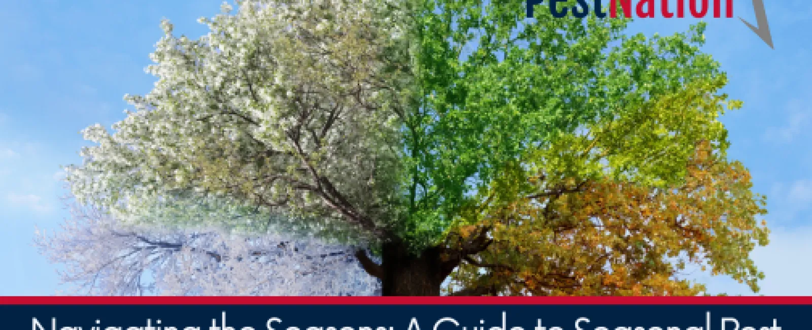 Navigating the Seasons: A Guide to Seasonal Pest Control in Charlotte, Charleston, and Atlanta