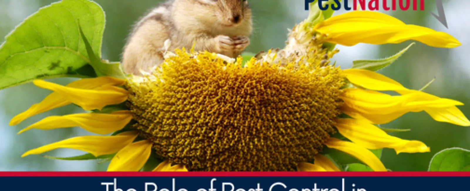 The Role of Pest Control in Supporting Biodiversity